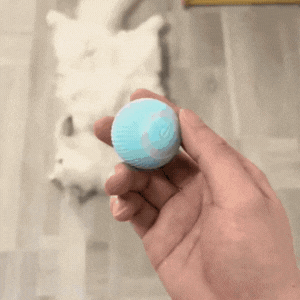 Pelota Interactiva Gravity