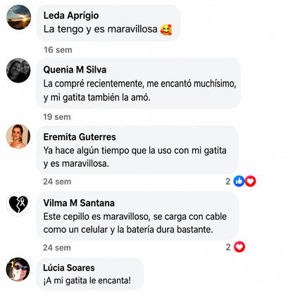 Cepillo de Vapor 3 en 1 – Previene, Masajea y Purifica